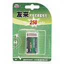 Youlai 9V 250 mAh NI-MH Rechargeable Battery