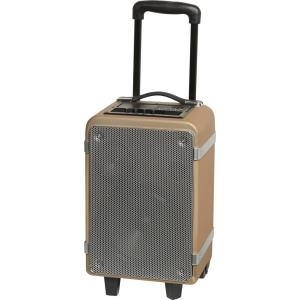 Denver Electronics TSP-150 Trolley Public Address (PA) system 15W Grau - Holz (TSP-150)