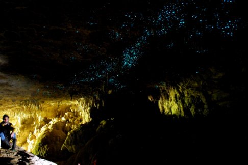 Waitomo Glowworm Caves Tour