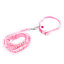 Laisse dentelle simple et collier pour chiens (couleurs assorties)
