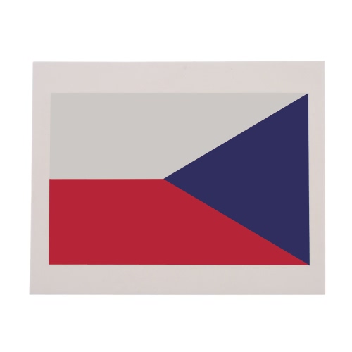 Anself 10pcs/set National Flag Temporary Tattoos Body Face Tattoo Sticker Patriotic Tattoos 16 Countries Optional (Ireland)