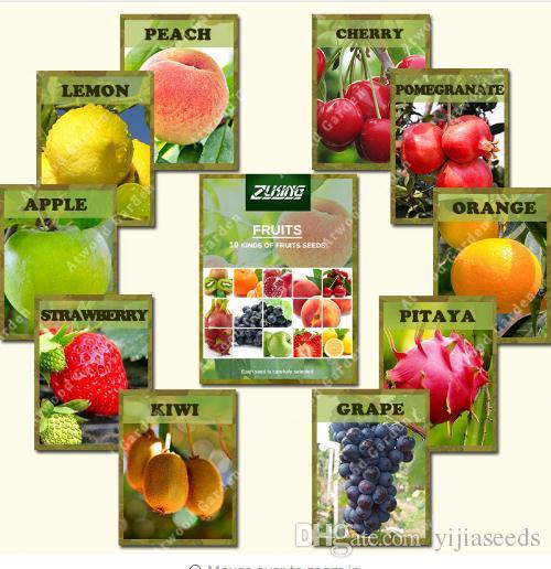 ZLKING 10 Varieties 200PCS Mixed Organic Fruit Tree Seeds Sweet Candied Fruit Non-Gmo Vegetable Plant Seeds For Home Garden