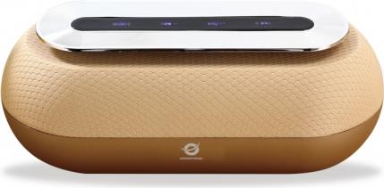 Conceptronic DUNKAN 01GL - Lautsprecher - tragbar - drahtlos - Bluetooth - 10 Watt - Gold (DUNKAN 01GL)