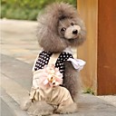 Pantalon kaki frais pour appel pour animaux