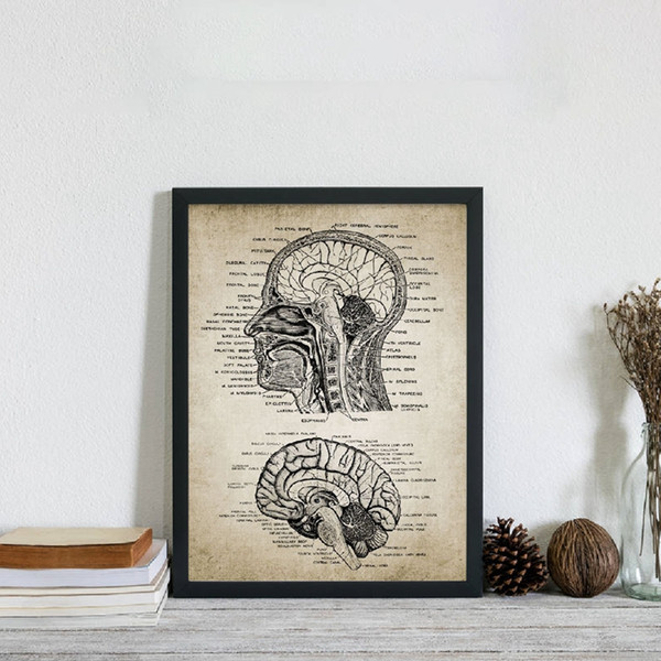 vintage human head and brain anatomy canvas art prints poster neuroscience human anatomy painting doctors office wall art decor
