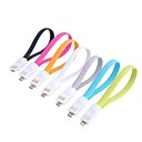 Mini USB to Micro USB Data Charging Cable for Samsung I9000/I9100/9300 (23cm-Cable)