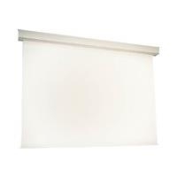 MEDIUM MaxxScreen 15 - Leinwand - motorisiert - 472 cm (185