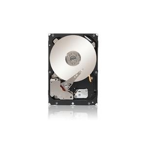 Origin Storage - Festplatte - 500 GB - intern - 3.5