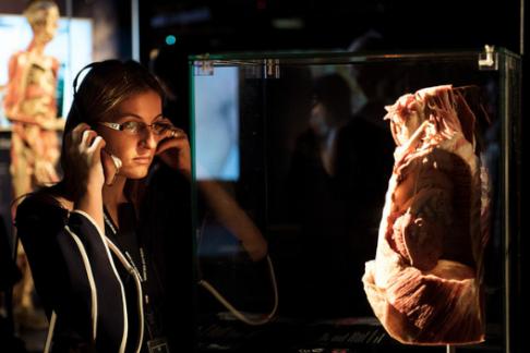 Thames River Rover Pass + BODY WORLDS London