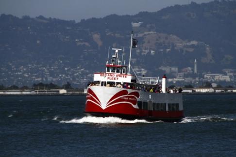 Red and White Fleet - Muir Woods + Sausalito Tour & Golden Gate Bay Cruise
