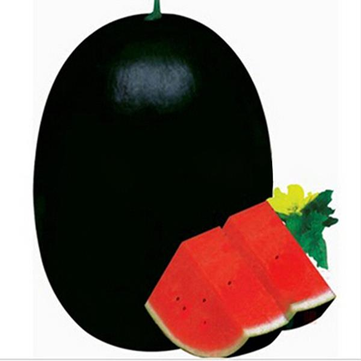 Egrow 30Pcs Giant Watermelon Seeds Black Tyrant King Super Sweet Watermelon Seeds Garden Fruit