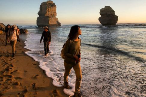 BDOL - Bunyip Tours - Dolphin + Seals Sightseeing Cruise